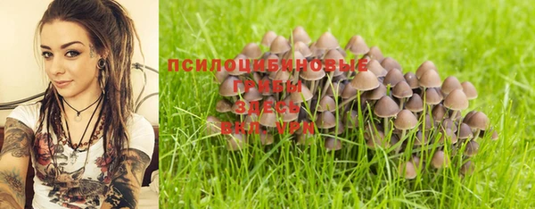 твердый Дегтярск