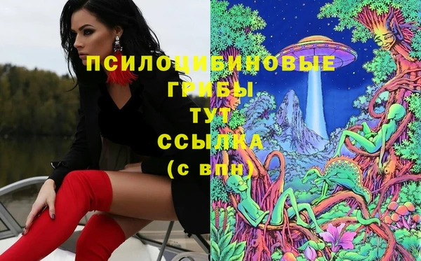 твердый Дегтярск