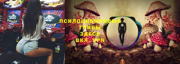 бутират Коряжма