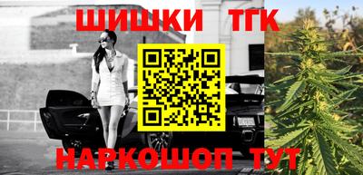 молекула духа Камышлов