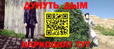 молекула духа Камышлов