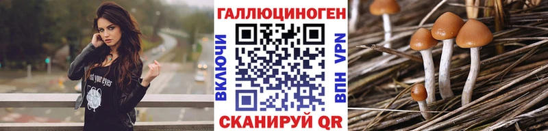 Псилоцибиновые грибы Cubensis  как найти закладки  Можайск 