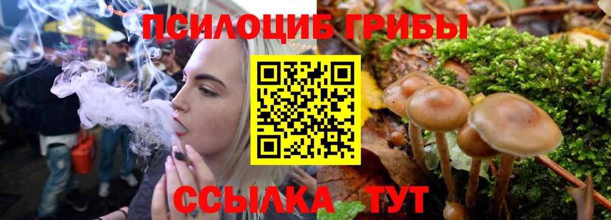Галлюциногенные грибы мухоморы Можайск
